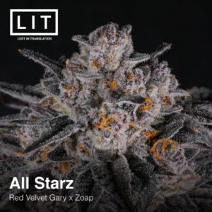 All Starz