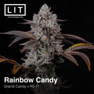 Rainbow Candy