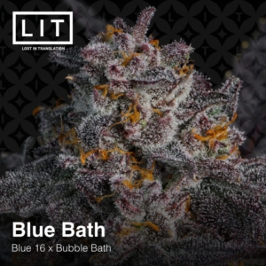 Blue Bath 1