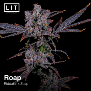 Roap Flower 002