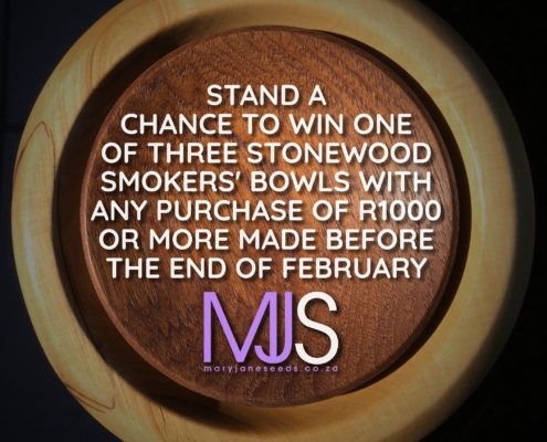 mjs stonewood